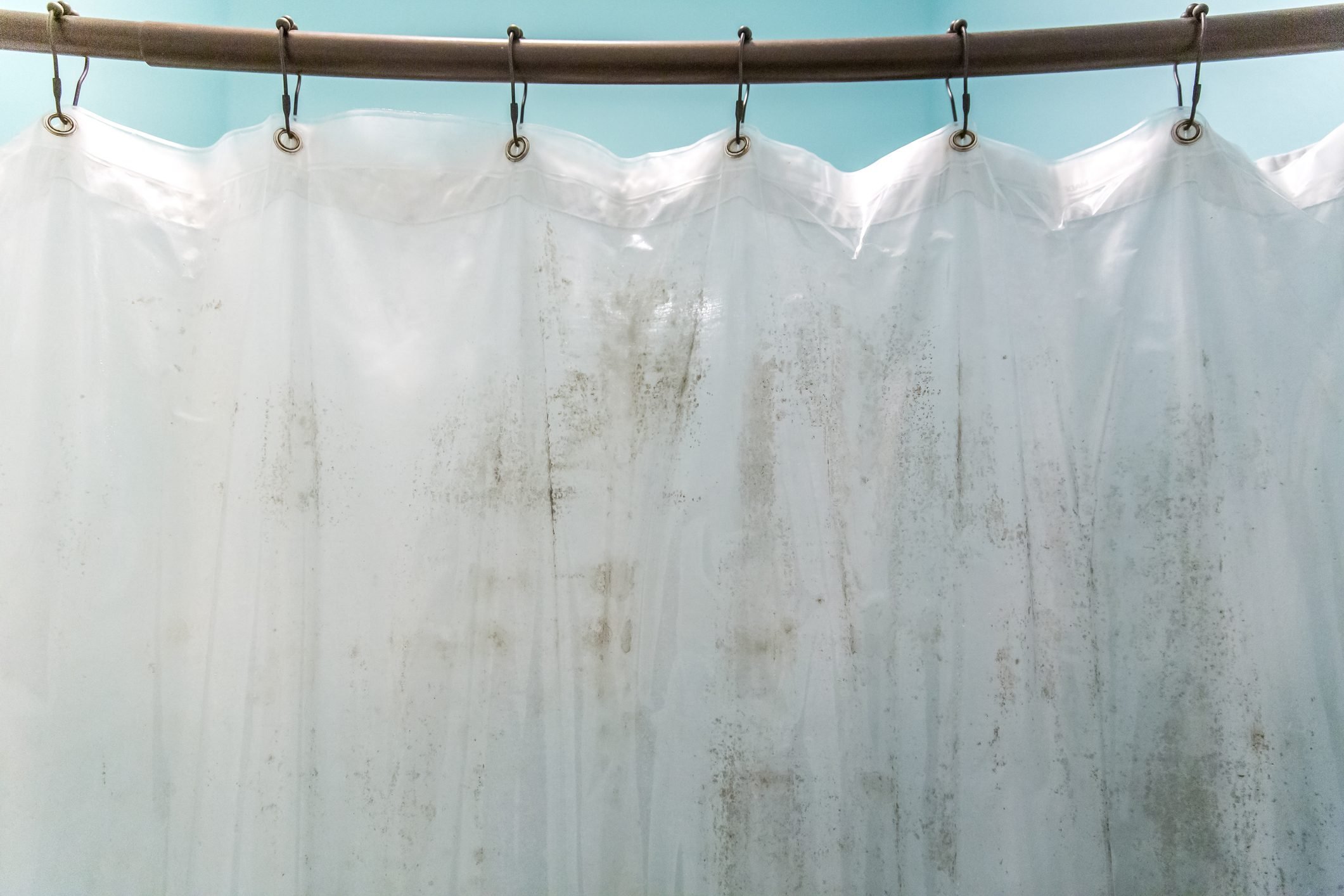 Giặt rèm nhà tắm thường xuyên để ngăn nấm mốc, giảm nguy cơ bệnh tật